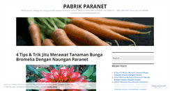 Desktop Screenshot of paranet123.com