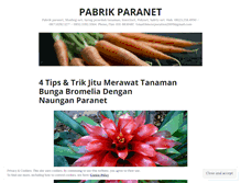 Tablet Screenshot of paranet123.com